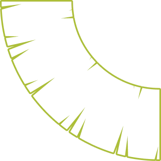 ornamento-verde-claro